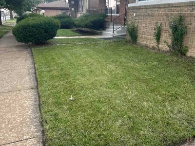 Lawn Care service in Crest Hill, 60403