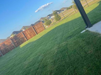 Lawn Care service in Princeton, 75407