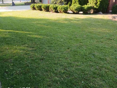 Lawn Care service in Montgomery, 60538