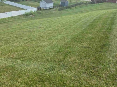 Lawn Care service in Xenia, 45385