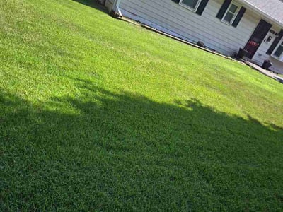 Lawn Care service in College Park, 20742