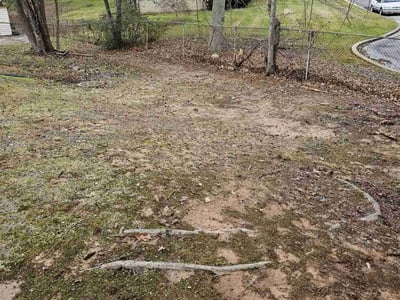 Lawn Care service in College Park, 20742