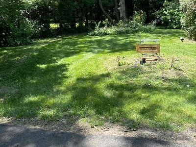 Lawn Care service in Oakland, 94612