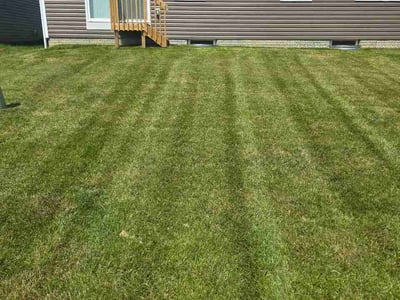 Lawn Care service in Canal Winchester, 43110