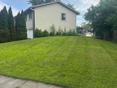 Lawn Care service in Bolingbrook, 60440