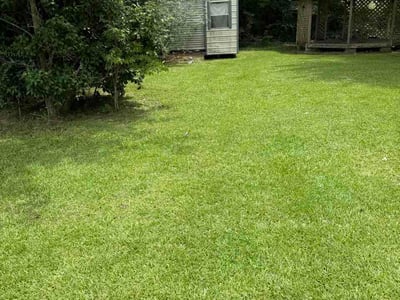 Lawn Care service in Walker, 70785