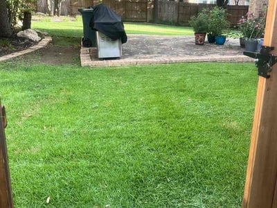 Lawn Care service in Lockhart, 78644