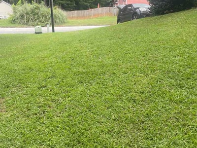 Lawn Care service in Thousand Oaks, 91362