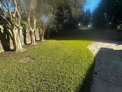 Lawn Care service in Kenner, 70062