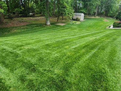 Lawn Care service in District Heights, 20747