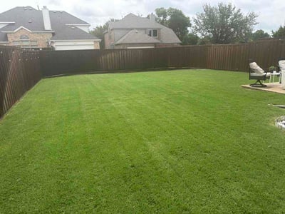 Lawn Care service in Allen, 75013