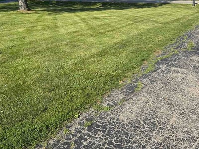 Lawn Care service in Mount Holly, 08060