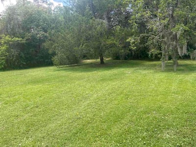 Lawn Care service in Dana Point, 92629