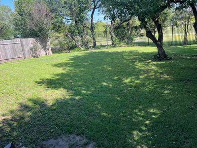Lawn Care service in Wells Branch, 78728