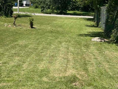 Lawn Care service in Roselle, 60172