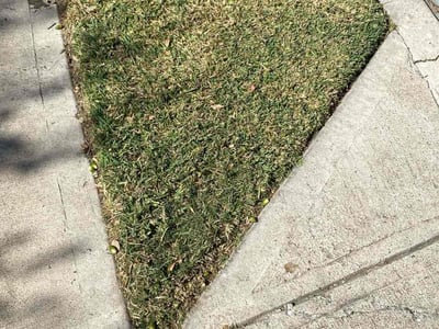 Lawn Care service in Hutto, 78634