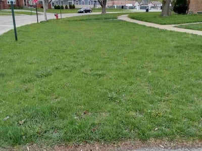 Lawn Care service in Oak Lawn, 60453