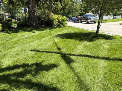 Lawn Care service in Amelia, 45102