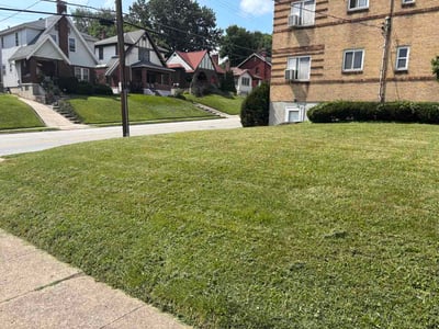 Lawn Care service in Amelia, 45102