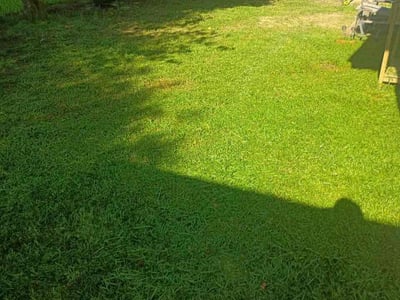 Lawn Care service in Abbeville, 70510