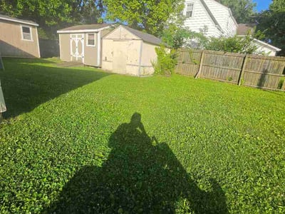 Lawn Care service in Erlanger, 41018