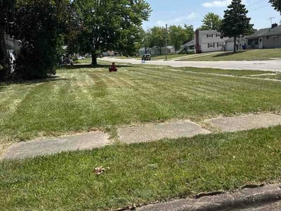 Lawn Care service in Avon Lake, 44012