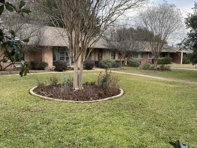 Lawn Care service in Dallas, 75201