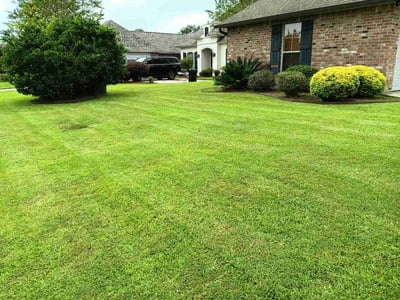 Lawn Care service in Jackson, 70748