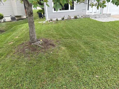Lawn Care service in Capitol Heights, 20743