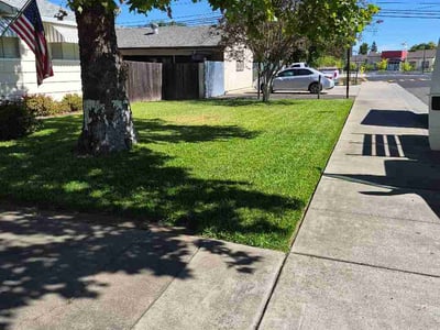 Lawn Care service in Sacramento, 95814