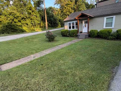 Lawn Care service in Hermitage, 37076