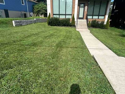 Lawn Care service in Hermitage, 37076