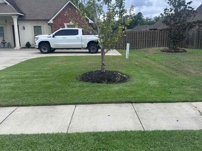 Lawn Care service in Gross Tete, 70740