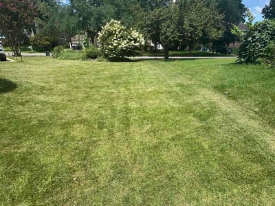 Lawn Care service in Lorton, 22079