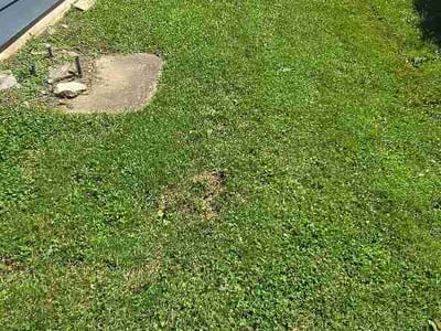 Lawn Care service in Lorton, 22079