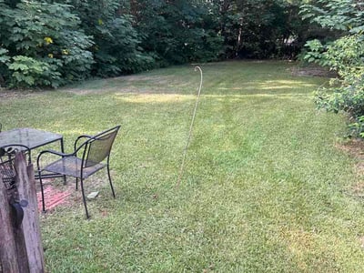 Lawn Care service in Gross Tete, 70740