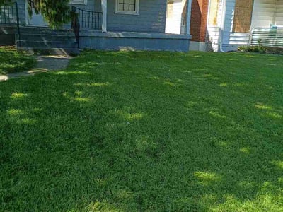 Lawn Care service in Haysville, 47546