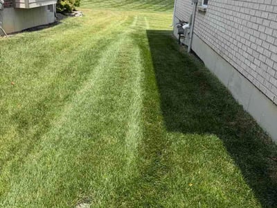 Lawn Care service in Mason, 45040