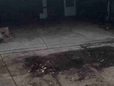 Lawn Care service in Parma Heights, 44130