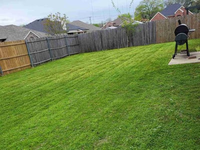 Lawn Care service in Huntington Beach, 92648