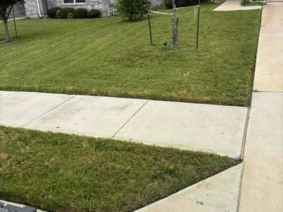 Lawn Care service in Manor, 78653