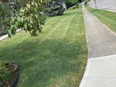 Lawn Care service in Fairfield, 45014