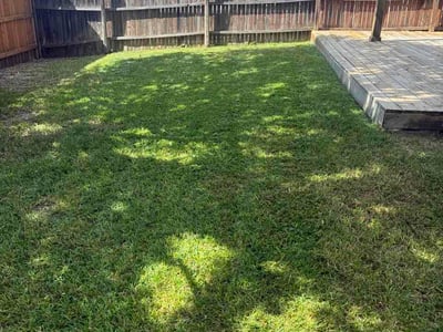 Lawn Care service in Manor, 78653