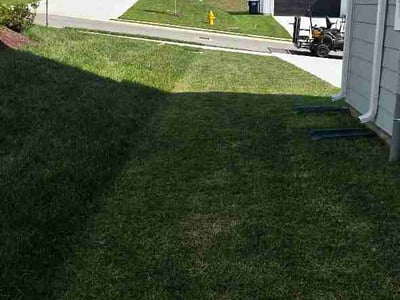 Lawn Care service in La Vergne, 37086