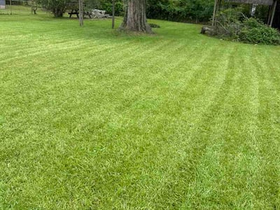 Lawn Care service in Livingston, 70754