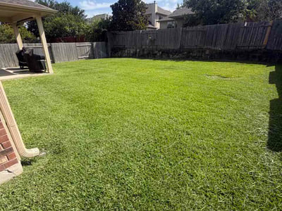 Lawn Care service in Dripping Springs, 78620