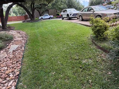 Lawn Care service in Dripping Springs, 78620
