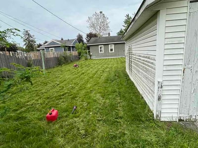 Lawn Care service in Escondido, 92025
