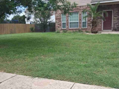 Lawn Care service in Liberty Hill, 78642