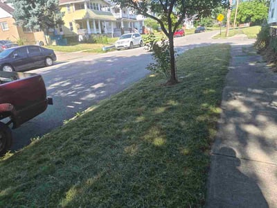 Lawn Care service in Maple Heights, 44137